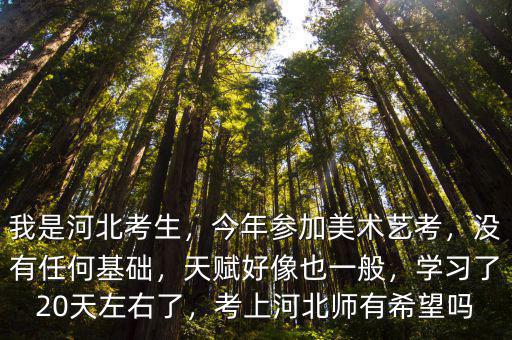 河北今年有多少美術生,今年參加美術藝考