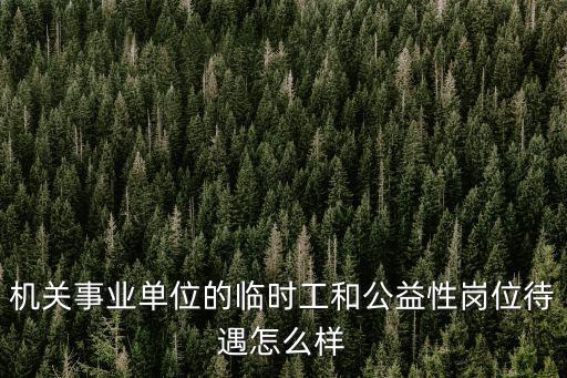 機關事業單位的臨時工和公益性崗位待遇怎么樣
