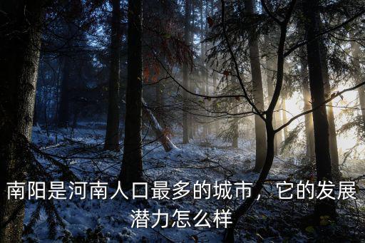 南陽市人口三十一小怎么樣,它的發展潛力怎么樣