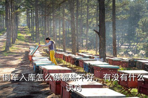 倒車入庫怎么練都練不好，有沒有什么訣竅