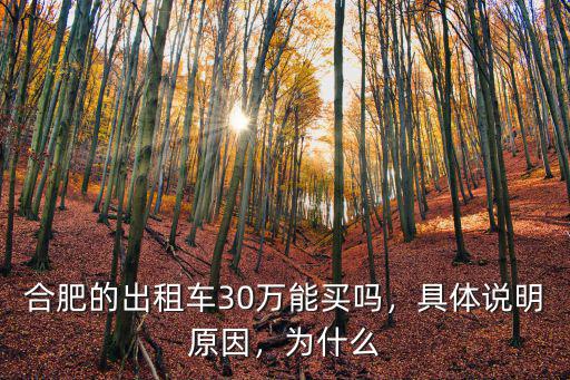 合肥出租車多少輛,合肥的出租車該怎么辦