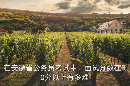 在安徽省公務員考試中，面試分數在80分以上有多難