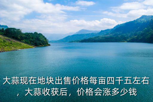大蒜蕪湖價格是多少錢,價格會漲多少錢