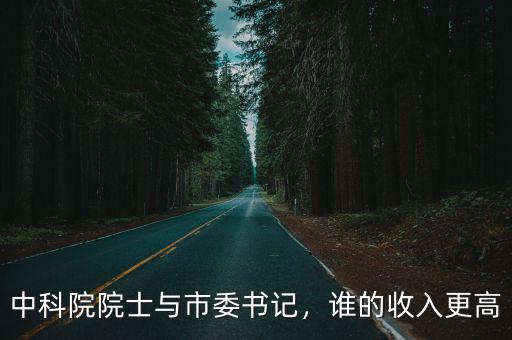 邯鄲市委書記的工資多少,中科院院士與市委書記