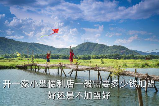 開一家小型便利店一般需要多少錢加盟好還是不加盟好