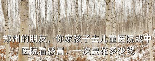 鄭州的朋友，你家孩子去兒童醫院或中醫院看感冒，一次要花多少錢