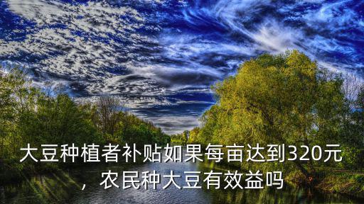 大豆種植者補(bǔ)貼如果每畝達(dá)到320元，農(nóng)民種大豆有效益嗎