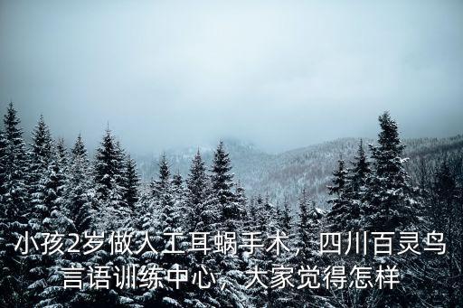 小孩2歲做人工耳蝸手術，四川百靈鳥言語訓練中心，大家覺得怎樣