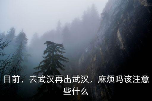 2020年怎么進(jìn)武漢,去武漢再出武漢