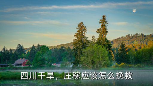 四川干旱，莊稼應該怎么挽救