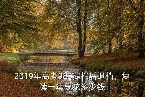 2019年高考985提檔后退檔，復讀一年要花多少錢