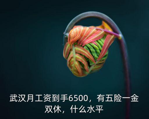 武漢8000雙休怎么樣,在武漢周末雙休