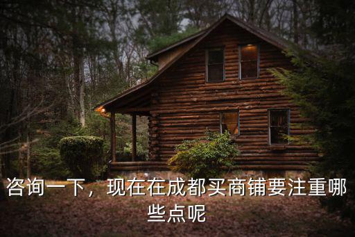 咨詢一下，現(xiàn)在在成都買商鋪要注重哪些點(diǎn)呢