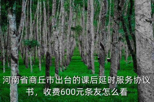 河南省商丘市出臺(tái)的課后延時(shí)服務(wù)協(xié)議書，收費(fèi)600元條友怎么看