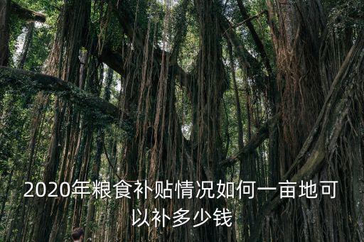安徽淮北糧補每畝多少錢可下來嗎,2020糧補每畝多少錢