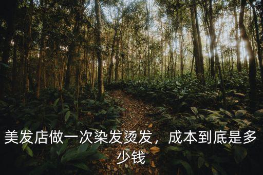 邢臺美祺人生染發燙發大概多少錢,燙發染發成本根本就沒多少錢