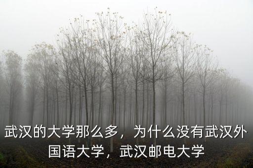 武漢郵電科學研究院 怎么樣,武漢郵電大學