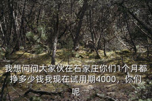 我想問問大家伙在石家莊你們1個月都掙多少錢我現在試用期4000，你們呢