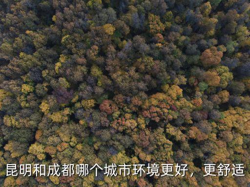 成都和昆明哪里更發達,昆明和成都哪個城市更宜居