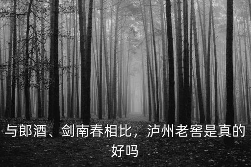 與郎酒、劍南春相比，瀘州老窖是真的好嗎