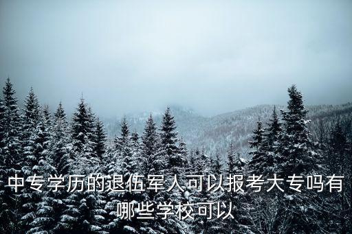 淮南退伍軍人大專學歷有多少,中士退伍和大專學歷