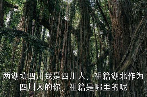 孫藝洲祖籍是四川哪里,兩湖填四川。我是四川人