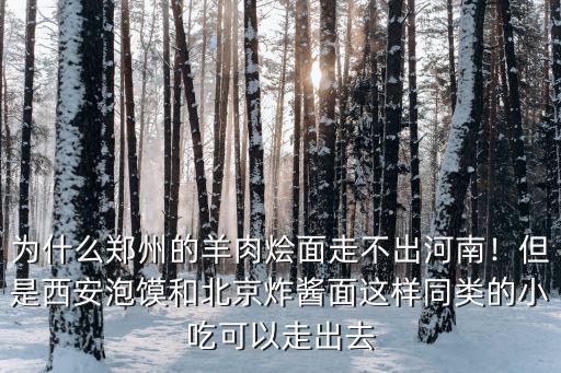 為什么鄭州的羊肉燴面走不出河南！但是西安泡饃和北京炸醬面這樣同類的小吃可以走出去