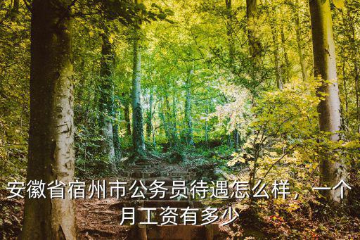 安徽省宿州市公務(wù)員待遇怎么樣，一個(gè)月工資有多少