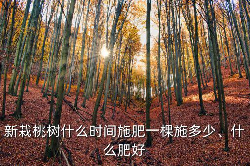 桃樹復合肥一棵多少,盛果期每棵桃樹施多少復合肥