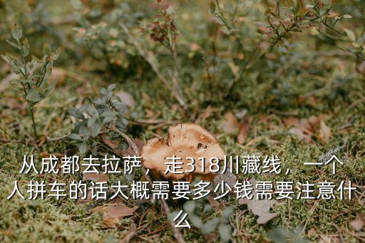 從成都去拉薩，走318川藏線，一個人拼車的話大概需要多少錢需要注意什么