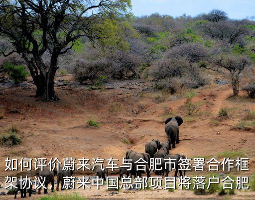 合肥政府投資蔚來賺多少錢,蔚來總部落戶合肥