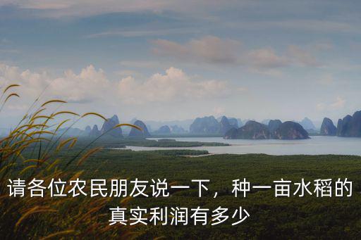 安徽水稻畝產(chǎn)量一般是多少,一畝產(chǎn)量是多少