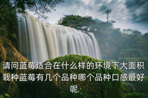 請問藍莓適合在什么樣的環境下大面積栽種藍莓有幾個品種哪個品種口感最好呢