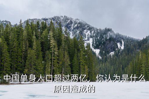 河北單身人口多少,2.4億的單身人口