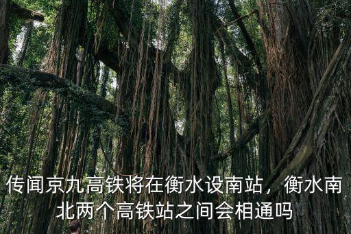 傳聞京九高鐵將在衡水設南站，衡水南北兩個高鐵站之間會相通嗎