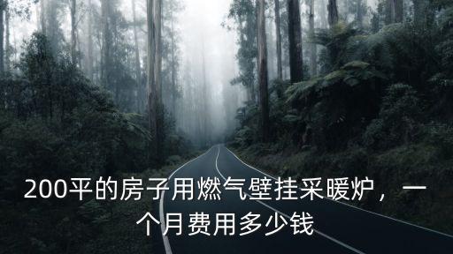 合肥暖氣鍋爐一個月多少錢,每月需要多少錢