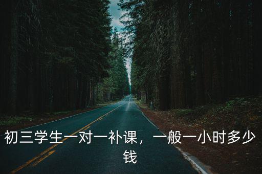 濮陽學生多少錢一小時,高中補課多少錢一小時合理