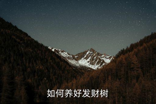 如何養好發財樹