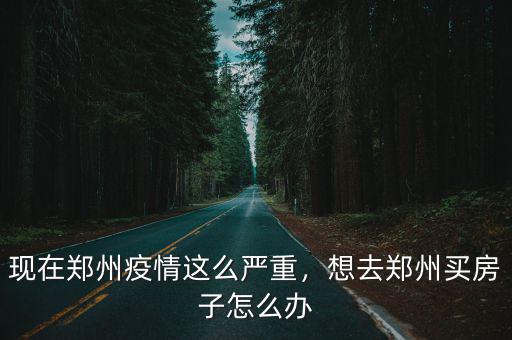 現在鄭州疫情這么嚴重，想去鄭州買房子怎么辦