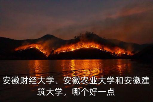 安徽農業大學在安徽省排名多少,安徽工程大學全國排名多少
