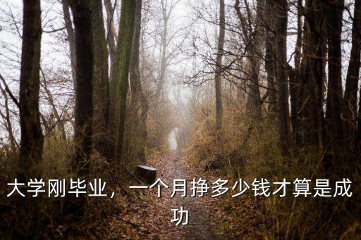 大學剛畢業，一個月掙多少錢才算是成功