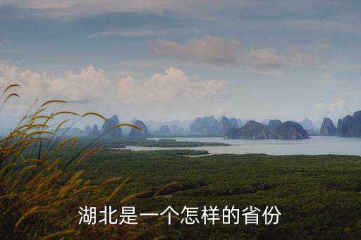 湖北是一個怎樣的省份