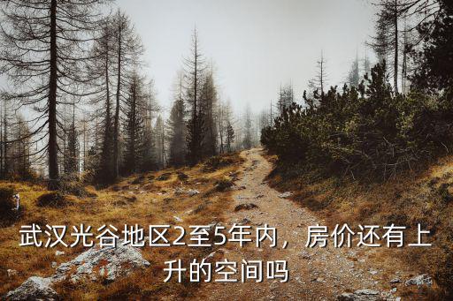 武漢光谷地區(qū)2至5年內(nèi)，房價還有上升的空間嗎