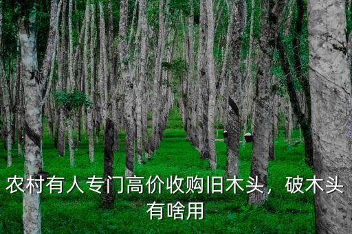 農(nóng)村有人專門高價(jià)收購(gòu)舊木頭，破木頭有啥用
