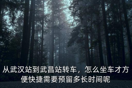 晚上怎么從武漢到武昌,從武漢站到武昌站轉車