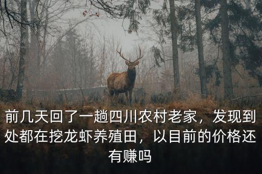 前幾天回了一趟四川農村老家，發現到處都在挖龍蝦養殖田，以目前的價格還有賺嗎
