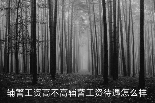 輔警工資高不高輔警工資待遇怎么樣