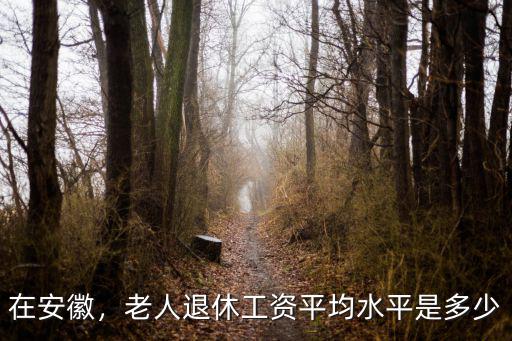 淮北當地中等工資是多少,安徽淮北平均工資是多少