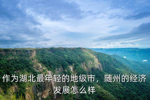 作為湖北最年輕的地級市，隨州的經濟發展怎么樣