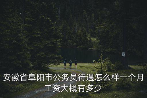 安徽省阜陽市公務員待遇怎么樣一個月工資大概有多少